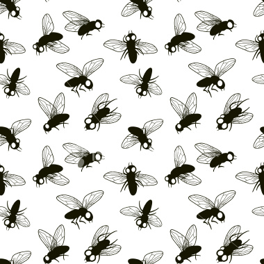 Blackflies.jpg