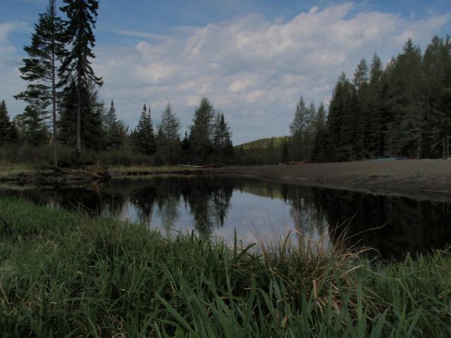 P5040263.JPG